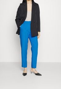 Blazer doppiopetto nero, top grigio chiaro, pantaloni su misura blu vibrante e scarpe nere a punta con dettagli argentati. Design pulito.