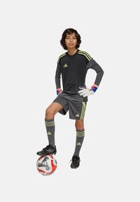 Maillot de football Adidas gris avec des accents verts, shorts assortis et chaussettes grises. Positionné sur un ballon de football blanc et rouge, portant des crampons noirs.
