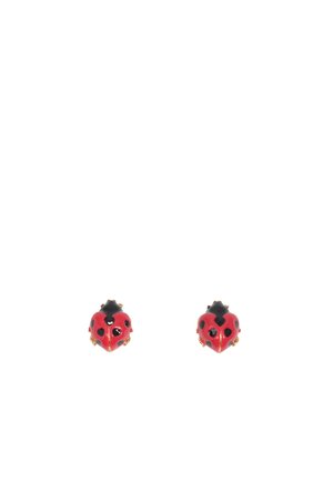 Pendientes en forma de mariquita en rojo y negro con acentos dorados. Acabado brillante, forma redonda, con manchas negras y un diseño de caparazón detallado y elevado.