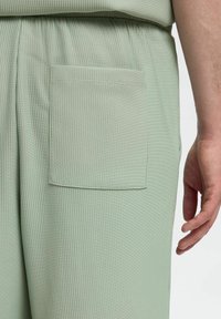 Selected Homme SLHLOOSE - Šortai - iceberg green