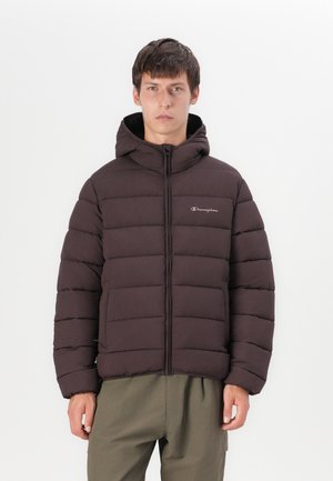 PADDED OUTDOOR JACKET - Zimní bunda - brown