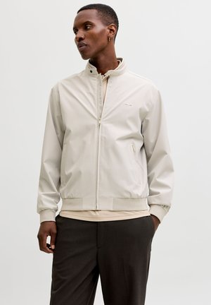 JPRBLUBRAD - Bomber jakna - moonstruck