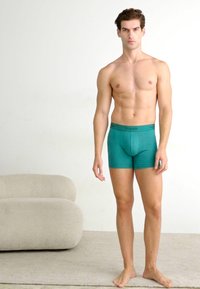 Türkiz színű, puha anyagból készült boxernadrág, kényelmes, szoros illeszkedéssel, elasztikus dereka nincs, a "Calvin Klein" felirattal. A modell mezítláb áll egy semleges háttér előtt.