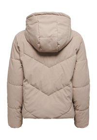 JDY JDYARNHEM WATER - Vinterjakker - beige