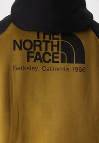 The North Face HERITAGE HOODIE - Felpa - moss green/black