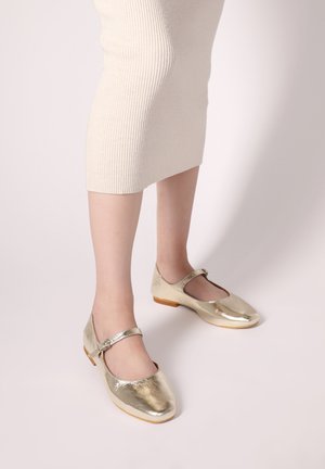 Goldfarbene metallische Mary Jane-Schuhe mit einer runden Spitze, einem dünnen Riemen an der Vorderseite und einem niedrigen Holzabsatz. Glatte Textur und glänzendes Finish.