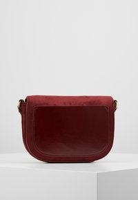Borsa a tracolla in pelle bordeaux con finitura liscia e dettagli in camoscio, caratterizzata da una forma rettangolare arrotondata e un elegante fermo in oro.