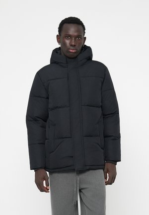 PUFFER - Chaqueta de invierno - black