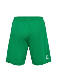 Gröna träningsshorts med elastisk midja och liten vit logotyp på nedre högra benet, visade från baksidan på en vit bakgrund.
