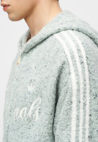 Asmuo dėvi šviesiai pilką tekstūruotą džemperį su gobtuvu, su baltais trimis dryžiais ant peties ir siuvinėtu logotipu ant krūtinės.