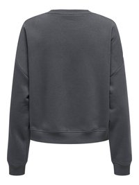 Mørkegrå langærmet sweatshirt med ribbede manchetter og kant, vist bagfra, med rund halsudskæring og afslappet pasform.