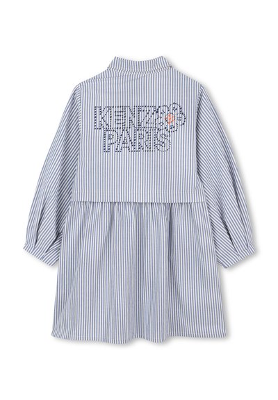 Robe rayée bleue et blanche avec des manches longues, un col, une jupe froncée et un texte graphique dans le dos. Fabriquée en tissu léger.