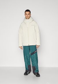 Adidas Terrex Jachetă schi - alumina