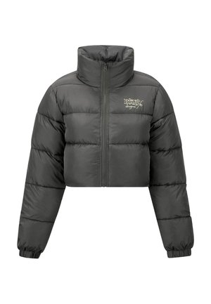 Cropped puffer jacket in dark grey. Features high collar, front zipper, horizontal stitching, and elastic cuffs. Minimal logo detail on chest.