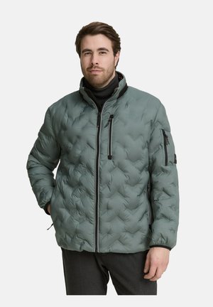 Giacca invernale - washed jasper green
