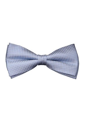 REGULAR AUS REINER FLECKENABWEISEND - Bow tie - blau