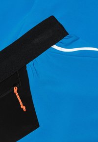 Mammut AENERGY - Träningsshorts - glacier blue black