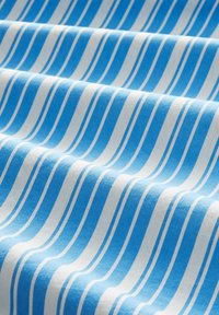 TOM TAILOR DENIM Overhemdblouse - vertical blue white stripe