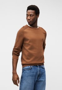 Giovane uomo che guarda di lato, indossando un maglione marrone e jeans blu, davanti a uno sfondo bianco uniforme.