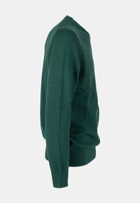 Maglione verde a maglia con scollo rotondo, maniche lunghe e orlo a coste. Il materiale sembra morbido e leggero, con una consistenza liscia.