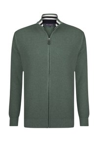 Grüner Zip-Up-Pullover mit gerippter Textur, gestreiftem Kragen in Marineblau und Weiß, langen Ärmeln und geradem Schnitt.