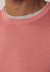 Rundhalsausschnitt Sweatshirt aus weichem, leichtem rosa Stoff mit subtiler Textur. Mit einem kontrastierenden grauen und weißen gestreiften Innenkragen.