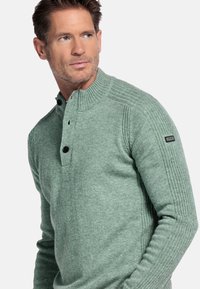 Lichtgroene gebreide trui met een hoge kraag, geribbelde mouwdetails en twee zwarte knopen aan de voorkant. Comfortabele textuur.