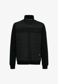 Unausgewählt, black beauty