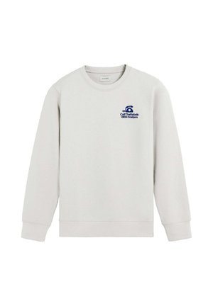 Sudadera gris claro con cuello redondo y mangas largas. Presenta un estampado gráfico azul en el lado izquierdo del pecho con texto. Textura de tela suave.