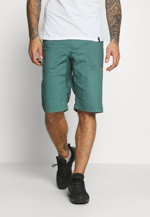 FLATANGER SHORT - Träningsshorts - pine/kiwi