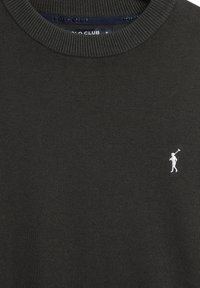 Pull vert foncé à col rond avec petit logo blanc brodé de joueur de polo sur la partie supérieure gauche de la poitrine.