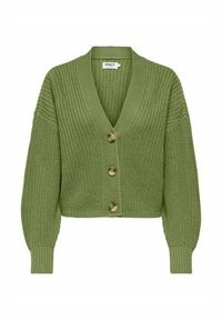 Non selezionato, iguana