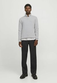 Maglione zip grigio chiaro con colletto a coste, indossato sopra una camicia a righe bianca e grigia. Abbinato a pantaloni neri plissettati e scarpe nere.