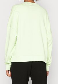 Sudadera verde menta con un ajuste holgado, puños y cintura acanalados. Presenta detalles sutiles de costura y una pequeña etiqueta en la parte trasera.