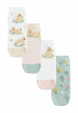 Next, TRAINER SOCKS 4 PACK  . - Socken - charlie the cockapoo