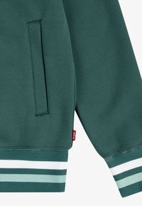 Felpa verde con tasca laterale, polsini a coste con strisce bianche e verde chiaro, e una piccola etichetta rossa.