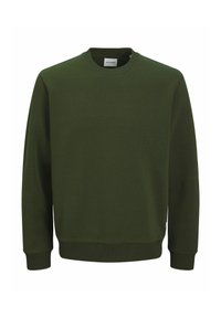 Donkergroen sweatshirt met ronde hals, ribbelmanchetten en -zoom. Gemaakt van zachte stof, met een eenvoudige uitstraling en minimale branding.