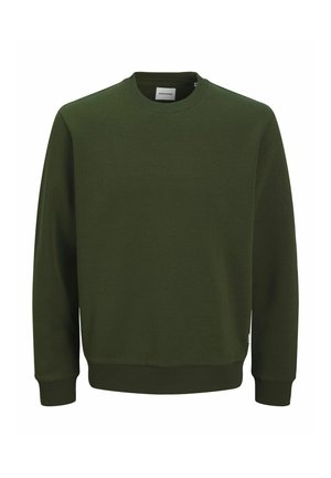 Felpa verde scuro con collo a giro, polsini e orlo a coste. Realizzata in tessuto morbido, presenta un design semplice e un branding minimale.