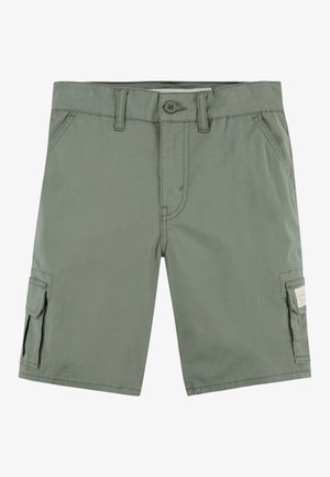 STANDARD - Pantalones cargo - sea spray