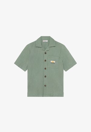 Kortärmelig overhemd met knopen in lichtgroen, met een verticale streepjespatroon, een borstzak met een logo en bruine knopen.