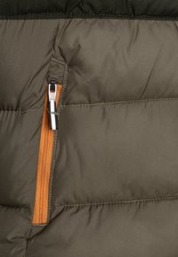Columbia PIKE LAKE HOODED JACKET UNISEX - Zimska jakna - stone green/greenscape