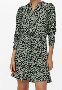 En klänning med leopardmönster som har ett svart mönster på ett ljusgrönt tyg, långa ärmar, en v-ringning och en insvängd midja.