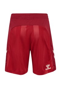 Röda sportshorts med mesh-sidopanel, elastisk midja och vita logodetaljer. Slät tyg med en ventilerande design.