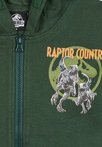 Zielona bluza z kapturem na zamek z grafiką dinozaura. Zawiera napis "Raptor Country" w kolorze pomarańczowym oraz okrągły sylwetkę dinozaura w tle.