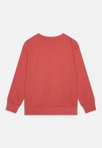 Rød hettegenser med rund hals, lange ermer og ribbestrikkede mansjetter. Glatt tekstur, ensfarget design, uten synlige mønstre eller detaljer.