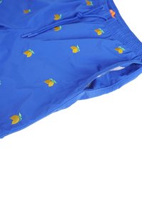 Costumi da bagno blu con cintura regolabile, decorati con limoni gialli ricamati e foglie verdi. Tessuto liscio e leggero.