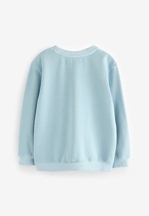 Ljusblå sweatshirt med ett mjukt, texturerat tyg. Har en rund hals och ribbade ärmslut och nederkant. Bakåtsidan visar inga ytterligare detaljer.