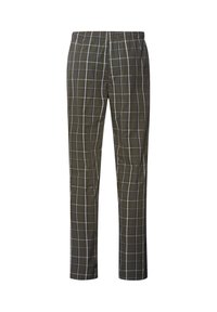 Groene geruite broek met een elastische tailleband, voorzien van witte en blauwe ruitpatronen. Ontworpen voor comfort met een recht gesneden pijp.