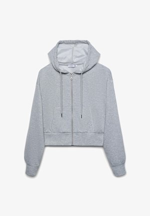 Terranova, FELPA CON ZIP E CON CAPPUCCIO - Felpa con zip - grigio chiaro melange