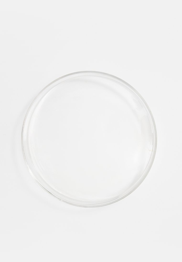 Przezroczysty szklany talerz, okrągły kształt, gładka powierzchnia, błyszczące wykończenie, cienka krawędź, brak widocznych wzorów lub dekoracji. Średnica wynosi około 25 cm.